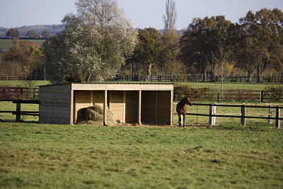 2014-09-29_opt Bildnummer: 60498623 Datum: 17.11.2006 Copyright: imago/Anka Agency International French Trotter, Male near Horse Shelter in Paddock, Normandy PUBLICATIONxINxGERxSUIxAUTxONLY xns x0x French Trotter, männlich Near Pferd Shelter in Paddock, Normandie xcb 2006 quer AAI Gerard Lacz Adult Erwachsene Tier Tiere Domestic Säugetier Säugetiere Equidae Equus ferus caballus Equus ferus caballus Europa Europäische Frankreich French Normandie Trotter trotters Pferd Pferde Full length Full lengths herbivore Pflanzenfresser herbivorous Landschaft Landschaften männlich Männchen One animal One Outdoor outdoors ungulate ungulates Pferdekoppel Pferdekoppeln Feld Felder Wiese Wiesen Frontansicht Vorderansichten Shelter Unterschlupfe Stall Ställe No people 60498623 Date 17 11 2006 Copyright Imago Anka Agency International French Trotter Male Near Horse Shelter in Paddock Normandy PUBLICATIONxINxGERxSUIxAUTxONLY xns x0x French Trotter male Near Horse Shelter in Paddock Normandy 2006 horizontal AAI Gerard LacZ Adult Adults Animal Animals Domestic Mammal Mammals Equidae Equus ferus caballus Equus ferus caballus Europe European France French Normandy Trotter trotters Horse Horses Full length Full lengths herbivore Herbivores herbivorous Landscape Landscapes male Males One Animal One Outdoor outdoors ungulate ungulates Paddock Paddocks Field Fields Meadow Meadows Front view Front views Shelter Shelters Stable Stables No Celebrities