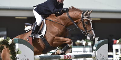 EQUESTRIAN Vienna Masters EBREICHSORF AUSTRIA 21 SEP 14 EQUESTRIAN DRESSAGE Global Champions T EQUESTRIAN - Vienna Masters EBREICHSORF,AUSTRIA,21.SEP.14 - EQUESTRIAN,DRESSAGE - Global Champions Tour, Vienna Masters. Image shows Hugo Simon (AUT/CT). PUBLICATIONxINxGERxHUNxONLY Equestrian Vienna Masters Austria 21 Sep 14 Equestrian Dressage Global Champions Tour Vienna Masters Image Shows Hugo Simon AUT CT