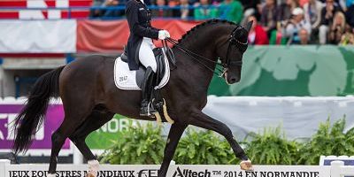 Caen 27 08 2014 Alltech FEI World Equestrian Games Normandie 2014 Pferdesport Grand Prix Speci Caen, 27.08.2014, Alltech FEI World Equestrian Games - Normandie 2014, Pferdesport, Grand Prix Special, Dressur - Individual. Kristina SPREHE (GER) and Desperados FRH finished on 3rd place. PUBLICATIONxNOTxINxSUIxAUTxLIExITAxFRAxNED Caen 27 08 2014 Alltech Fei World Equestrian Games Normandy 2014 Equestrian sports Grand Prix Special Dressage Individual Kristina Sprehe ger and Desperados FRH finished ON 3rd Place