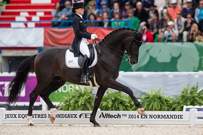 Caen 27 08 2014 Alltech FEI World Equestrian Games Normandie 2014 Pferdesport Grand Prix Speci Caen, 27.08.2014, Alltech FEI World Equestrian Games - Normandie 2014, Pferdesport, Grand Prix Special, Dressur - Individual. Kristina SPREHE (GER) and Desperados FRH finished on 3rd place. PUBLICATIONxNOTxINxSUIxAUTxLIExITAxFRAxNED Caen 27 08 2014 Alltech Fei World Equestrian Games Normandy 2014 Equestrian sports Grand Prix Special Dressage Individual Kristina Sprehe ger and Desperados FRH finished ON 3rd Place