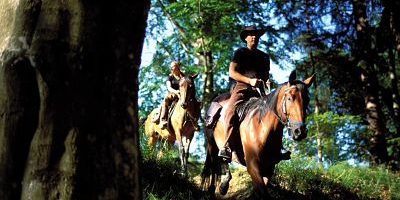 IMAGO-Eisend_Alpenstafette_opt Bildnummer: 50053258 Datum: 15.08.2000 Copyright: imago/Eisend Reiter im Wald, Personen , Tiere; 2000, Böhmerwald, Wanderreiten, Reiten, Reiter, Pferde, Pferd, Freizeit, Aktivitäten, Urlaub, Reiterurlaub, Reiturlaub, Reiterferien; , quer, Kbdia, Totale, Reise, Westerncamp, Western-Camp, Fotostory, Tschechien, Europa; Aufnahmedatum geschätzt