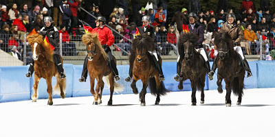 IceHorse2010_3_opt 