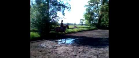 Das beste reiten mit tasko !!! - YouTube thumbnail 