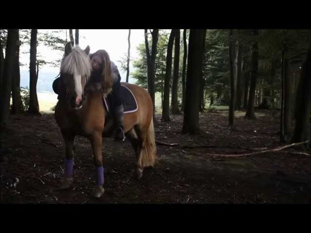 FMA Reiten - YouTube thumbnail 