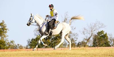 imago06596862h_opt Bildnummer: 06596862 Datum: 26.09.2010 Copyright: imago/Rau Lexington - Kentucky Horse Park 26.09.2010 Weltreiterspiele/World Equestrian Games: Distanzreiten: Scheich Hamdan bin Mohammed al Maktoum (UAE) und Sas Alexis; Pferdesport Reiten WM Weltreiterspiele World Equestrian Games Distanzreiten Freisteller Einzelbild Aktion vdig xub 2010 quer o0 people Politik VAE Vereinigte Arabische Emirate Image number 06596862 date 26 09 2010 Copyright imago Tough Lexington Kentucky Horse Park 26 09 2010 World Equestrian Games World Equestrian Games Distance riding Sheikh Hamdan am Mohammed Al Maktoum UAE and Sas Alexis Equestrian sports riding World Cup World Equestrian Games World Equestrian Games Distance riding cut out Single Action shot Vdig xub 2010 horizontal o0 Celebrities politics UAE United Arab Emirates