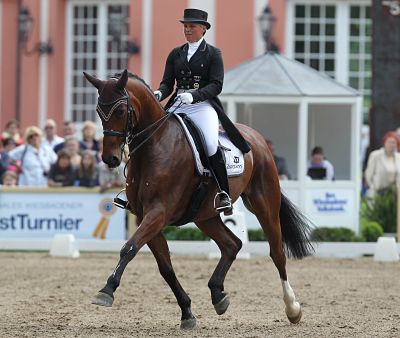 imago13648286h_opt Bildnummer: 13648286 Datum: 18.05.2013 Copyright: imago/Rene Schulz Dressur Kl. S Grand Prix Qualifikation f¸r Grand Prix K¸r oder Grand Prix Special Preis der Kanzlei Dr. Staubach Uta Gr‰f (GER) - Dandelion / Wiesbaden, Schlosspark Biebrich, 18.05.2013, 77. Internationales Wiesbadener PfingstTurnier , xjhx; Pferdesport Reiten Dressur Dressurreiten x0x xsk 2013 quadrat pfingstturnier reiten schlosspark wiesbaden biebrich internationales wk Image number 13648286 date 18 05 2013 Copyright imago RenÈ Schulz Dressage Kl s Grand Prix Qualification for Grand Prix Pumpkins Or Grand Prix Special Prize the Firm Dr Staubach Uta Gr‰f ger Dandelion Wiesbaden Castle Park Biebrich 18 05 2013 77 International Wiesbaden Pfingstturnier Equestrian sports riding Dressage Dressage x0x xsk 2013 Square Pfingstturnier riding Castle Park Wiesbaden Biebrich International WK