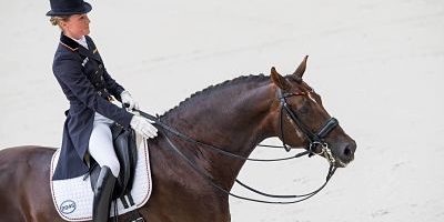 Caen 26 08 2014 Alltech FEI World Equestrian Games Normandie 2014 Pferdesport Dressur Team Caen, 26.08.2014, Alltech FEI World Equestrian Games - Normandie 2014, Pferdesport, Dressur - Team. Helen LANGEHANENBERG (GER) auf Damon Hill NRW. PUBLICATIONxNOTxINxSUIxAUTxLIExITAxFRAxNED Caen 26 08 2014 Alltech Fei World Equestrian Games Normandy 2014 Equestrian sports Dressage team Helen Langehanenberg ger on Damon Hill NRW