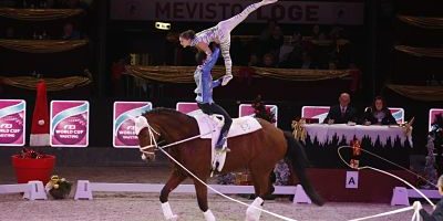 EQUESTRIAN Amadeus Horse Indoors SALZBURG AUSTRIA 12 DEC 14 EQUESTRIAN Amadeus Horse Indoors EQUESTRIAN - Amadeus Horse Indoors SALZBURG,AUSTRIA,12.DEC.14 - EQUESTRIAN - Amadeus Horse Indoors, FEI Vaulting World Cup Pas de Deux. Image shows Jasmin Lindner and Lukas Wacha (AUT/ Bram). PUBLICATIONxINxGERxHUNxONLY Equestrian Amadeus Horse Indoors Salzburg Austria 12 DEC 14 Equestrian Amadeus Horse Indoors Fei Vaulting World Cup Pas de Deux Image Shows Jasmin Lindner and Lukas Wacha AUT Bram