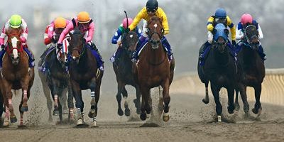 22 02 2015 Tokio JPN JAPAN Copano Rickey with Yutaka Take yellow dress up wins the February S 22.02.2015, Tokio, JPN, JAPAN - Copano Rickey with Yutaka Take (yellow dress) up wins the February Stakes. Fuchu racecourse. (Pferd, Jockey, Copano Rickey, Take, Sieg, Ziel, Zielankunft, tfonly15) 902Y220215TOKYO.JPG 22 02 2015 Tokyo JPN Japan Copano Rickey with Yutaka Take Yellow Dress Up Wins The February Stakes Fuchu Racecourse Horse Jockey Copano Rickey Take Victory Target Finish jpg