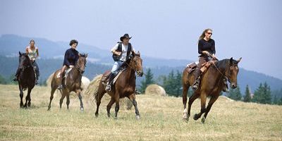 imago50053243h_opt Bildnummer: 50053243 Datum: 15.08.2000 Copyright: imago/Eisend Wanderreiten im Böhmerwald, Personen , Tiere; 2000, Reiten, Reiter, Pferde, Pferd, Freizeit, Aktivitäten, Westernreiten, Westernfans, Urlaub, Reiterurlaub, Reiturlaub, Reiterferien, Cowboys, Reiterin, Reiterinnen, Galopp, galoppieren, galoppierend; , quer, Kbdia, Totale, Reise, Westerncamp, Western-Camp, Fotostory, Tschechien, Europa; Aufnahmedatum geschätzt