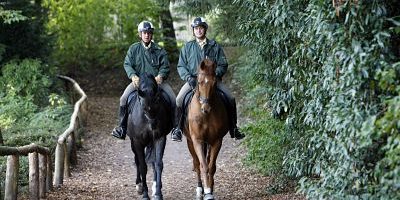 imago53694041h_opt Bildnummer: 53694041 Datum: 27.09.2009 Copyright: imago/Jochen Tack Polizei Reiterstaffel bei einem Streifenritt in einem Waldgebiet, Wanderweg Fotostory Polizei Deutschland Nordrhein Westfalen kbdig xcb 2009 quer Polizei Polizisten Polizeibeamte Beamte Sicherheitskräfte Ordnung Sicherheit innere Sicherheit Uniform Ordnungshüter Pferde Tiere Reiter Polizeipferd Polizeireiter Reiterstaffel Dienstpferd Pferde Tiere staffel Streifenritt Ausritt Einsatz Wald Waldweg Bildnummer 53694041 Date 27 09 2009 Copyright Imago Jochen Tack Police Reiter season at a Streifenritt in a Forest area Footpath Photo Story Police Germany North Rhine Westphalia Kbdig 2009 horizontal Police Policemen Police officers Officials Security forces Order Security internal Security Uniform Rules enforcement Horses Animals Reiter Police horse Police riders Reiter season Service horse Horses Animals Season Streifenritt Horseback Use Forest Forest