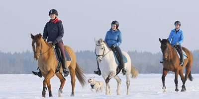 imago59809357h_opt Bildnummer: 59809357 Datum: 25.02.2013 Copyright: imago/Manfred Grebler Drei Reiterinnen bei einem Winterausritt im Trab zusammen mit einem Hund Ausritt im Schnee Symbolfoto Model released Reiten xdp x0x 2013 quer model released Symbolfoto ausreiten Ausritt drei Gelände geschoren Gruppe Gruppenausritt Helm hintereinander Hund Kappe mehrere Pferd Pferde Reiten Reiter Reiterin Reiterinnen Reithelm Reitkappe Schnee Tier Tiere Trab traben trabende trabendes Trio Warmblut Winter 59809357 Date 25 02 2013 Copyright Imago Manfred Grebler Three Riders at a Winter ride in Trotting together with a Dog Horseback in Snow Symbolic image Model released riding XDP x0x 2013 horizontal Model released Symbolic image ausreiten Horseback Three Centre geschoren Group Group ride Helmet row Dog Cap several Horse Horses riding Reiter Horsewoman Riders Reithelm Reitkappe Snow Animal Animals Trotting Traben trabende Trotting end Trio Warm blood Winter