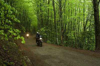 imago60257695h_opt Bildnummer: 60257695 Datum: 08.05.2013 Copyright: imago/Kickner motorradfahrer fahren in der toscana durch einen wald Motorradurlaub in der toscana mit einer gruppe von motorradfahrern Gesellschaft x0x xkg 2013 quer motorrad bmw motorradfahrer Wald Strasse 60257695 Date 08 05 2013 Copyright Imago kickn Motorcyclists drive in the Toscana through a Forest Motorcycle holiday in the Toscana with a Group from Motorcyclists Society x0x xkg 2013 horizontal Motorcycle BMW Motorcyclists Forest Road