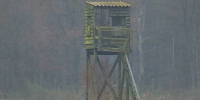 Jagdkanzel auf einem Feld im November Deutschland Nordrhein Westfalen hunting pulpit on a field in Jagdkanzel auf einem Feld im November, Deutschland, Nordrhein-Westfalen hunting pulpit on a field in november, Germany, North Rhine-Westphalia BLWS381204 Hunting pulpit on a Field in November Germany North Rhine Westphalia Hunting pulpit ON a Field in November Germany North Rhine Westphalia