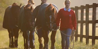 21 08 2014 Ascheberg Herbern Nordrhein Westfalen GER Jaehrlinge werden in der Natur gefuehrt G 21.08.2014, Ascheberg-Herbern, Nordrhein-Westfalen, GER - Jaehrlinge werden in der Natur gefuehrt. Gestuet Schlossgut Itlingen. (Pferde, Haltung, Pferdehaltung, Pferdepfleger, fuehren, Lot, Bewegung, bewegen, Pferdewirte, laufen, an der Hand, Jaehrlinge, Morgen, Morgenstimmung, Spaziergang, spazieren gehen, Natur, ruhig, Ruhe, entspannen, Entspannung, Unternehmung, Frontal, Frontalansicht, Nebel, neblig, Zaun, Weidezaun, Koppelzaun, Umzaeunung, Holzzaun, Umzäunung, führen, Jährlinge) 122D210814ITLINGEN.JPG GALOPP 21 08 2014 Mountain ash Herbern North Rhine Westphalia ger Yearlings will in the Nature Guided Stud Schlossgut Itlingen Horses Attitude Horse stance Horses carers lead Lot Movement move Horse owners run to the Hand Yearlings Tomorrow Morgenstimmung Walk walk go Nature calm Stillness Relax Relaxation Company Frontal Frontview Fog foggy Fence Pasture fence Koppel fence Fence Wooden fence Fence lead Yearlings JPG Gallop