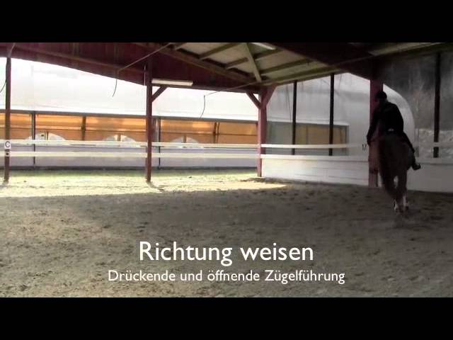 Mein Pferd August 2013: Springtraining – Making of - YouTube thumbnail 