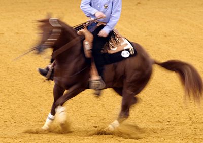 newsNRHA_opt Bildnummer: 02340500 Datum: 01.09.2006 Copyright: imago/Uwe Kraft Bildnummer: 02340500 Datum: 01.09.2006 Copyright: imago/Uwe Kraft Cowboy und Pferd zeigen ein Spin bei den World Equestrian Games 2006 in Aachen; Reining, Vdig, quer, verwischt World Equestrian Games 2006, Weltreiterspiele, Reiten, Reitsport, Westernreiten Aachen Dynamik, Pferdesport WM Herren Einzel Einzelbild Aktion Körperteile Tiere Symbolfoto