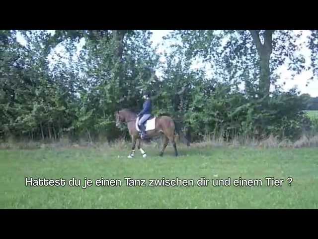 Reiten soll einfach sein…? - YouTube thumbnail 