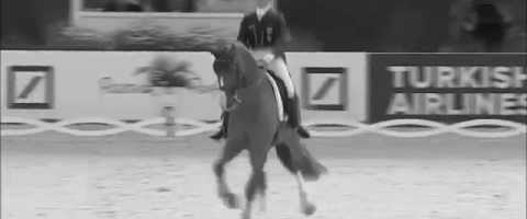 Reiten~Leidenschaft und Faszination~ - YouTube thumbnail 