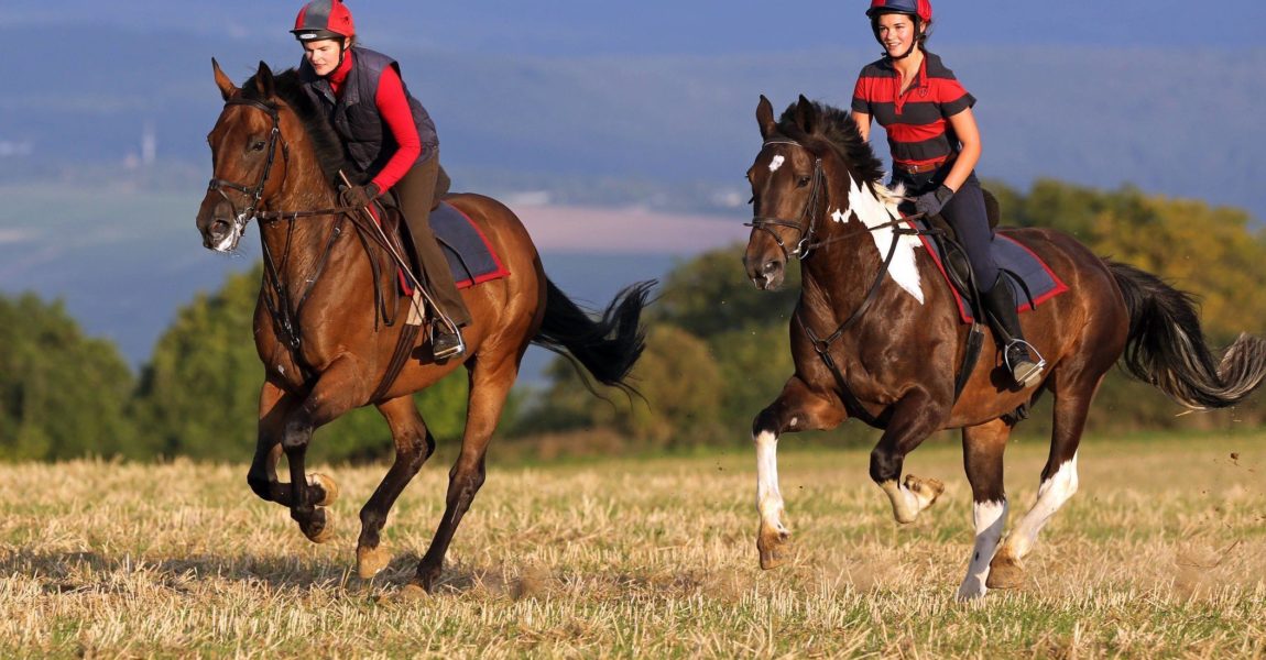 Erste Hilfe bei Reitunfall Erste Hilfe bei Reitunfall 22.08.2014, Ingelheim, Rheinland-Pfalz, GER - Maedchen und Frau machen einen Ausritt auf einem Stoppelfeld. Gestuet Westerberg. (Pony, Ausritt, ausreiten, Reiten, Reitsport, Freizeitreiten, Freizeitreiterin, Galopp, galoppieren, Stoppelfeld, Feld, Gangart, Freizeit, Freizeitsport, Pferdesport, reiten, Sport, bewegen, Bewegung, entspannen, Entspannung, erholen, Kind, Erholung, Natur, Unternehmung, Breitensport, Amateursport, Weite, abgeerntet, Herbst, herbstlich, Herbstzeit, Jahreszeit, Licht, Lichtstimmung, Maedchen, Helm, Reithelm, Kappe, Reitkappe, Schecke, gescheckt, Pferd, Reiter, Familie, Mutter, Tochter, Freizeitreiter, Sturzhelm, Sturzkappe, Reitpferde, Feature, Emotion, Freude, Spass, lachen, lachend, Turfloewe, Turflöwe, Mädchen) 140D220814WESTERBERG.JPG GALOPP 22 08 2014 Ingelheim Rhineland Palatinate ger Girl and Woman make a Horseback on a Stubble Stud Westerberg Pony Horseback ausreiten riding Horse riding Leisure riding recreational rider Gallop Galoppieren Stubble Field gaits gangart Leisure leisure sports Equestrian sports riding Sports move Movement Relax Relaxation Relax Child Recreation Nature Company Popular sport wideness harvested Autumn autumn Autumn time Season Light Light mood Girl Helmet Reithelm Cap Reitkappe Schecke gescheckt Horse Reiter Family Mother Daughter Leisure riders Helmet Riding horses Feature Emotion happiness Fun Laughing laughing Girl JPG Gallop