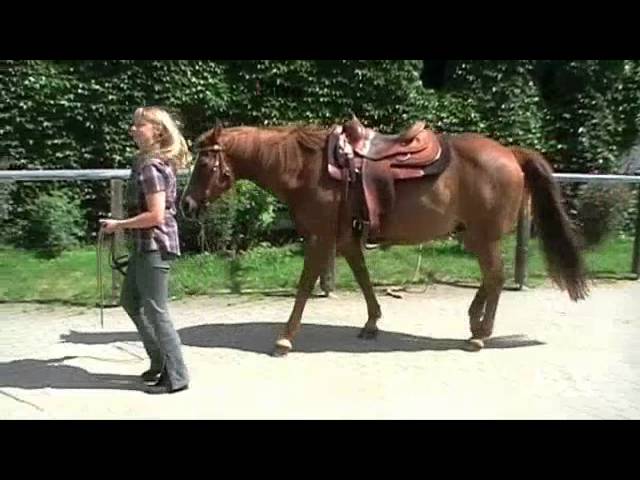 Wunschpferd Quarter Horse 2010 - YouTube thumbnail 