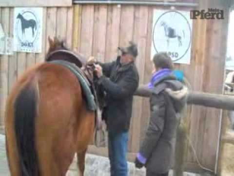 Wunschpferd Quarter Horse - YouTube thumbnail 