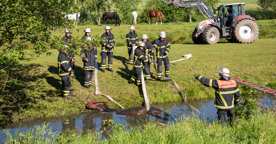 Pferd aus Wassergraben gerettet Feuerwehrleute bereiten am 27.05.2017 in Hamburg-Altengamme die Rettung eines Pferdes aus einem Wassergraben vor. Hengst Laban war am Morgen auf einer Weide in den Graben gerutscht und musste mit viel Muskelkraft gerettet werden. Foto: Daniel Bockwoldt/dpa | Verwendung weltweit 