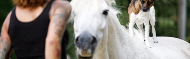 Mein Pferd Magazin - Hund und Pferd Mein Pferd Magazin - Hund und Pferd. Foto: DANIEL ELKE 