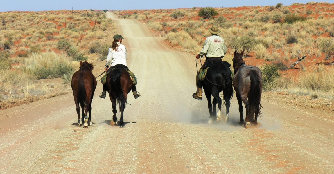 the-kalahari-desert-stretching-out-infront-of-us-picture-reference-dennis-gillespie-lloyds-father 