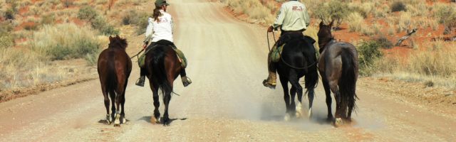 the-kalahari-desert-stretching-out-infront-of-us-picture-reference-dennis-gillespie-lloyds-father 