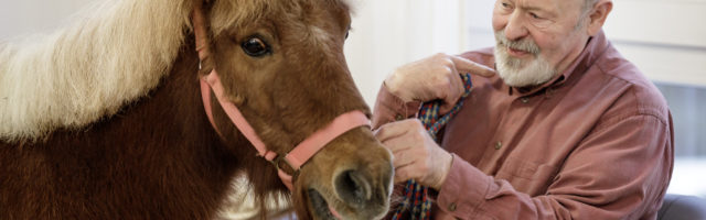 Mein Pferd Magazin - Demenz Therapie mit Pferd Der Altenpfleger Gregor Kryk besucht am 08.11.2017 mit seinen Tieren die Bewohner eines Altenheims in Düren. Foto: DANIEL ELKE 