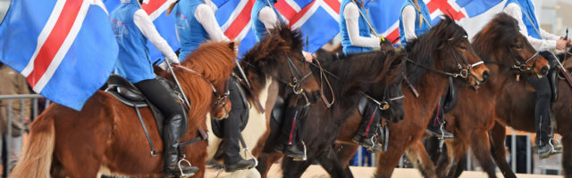 PFERD BODENSEE 2016 A7: Island-Ponys 