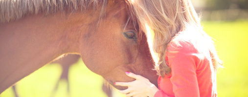 170325863 Girl with Chestnut Horse 