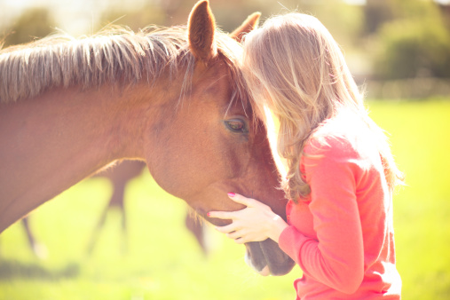 170325863 Girl with Chestnut Horse 