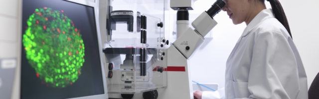 Scientist conducting stem cell research on a confocal microscope in biolab 