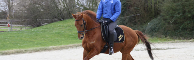 Angreifer mit seinem Reiter Tobias Brenner beim Training in der Reitanlage Sieben Morgen 