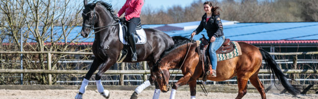 Mein Pferd Magazin - Reitweisen Western und Englisch Reportage für das Mein Pferd Magazin zum Vergleich der verschiedenen Reitweisen - Western und Englisch - am 06.04.2018 in Nachtrodt-Wiblingwerde. Foto: DANIEL ELKE 