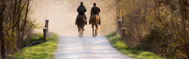 Two man riding horses in dirt road at sunset Two man riding horses through a bridge in a dirt road of the countryside of tuscany with a beautiful warm lightening, Siena, Italy 