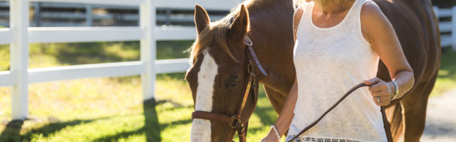 A woman an her horse in a sunny paddock Woman With Her Horse In Field 