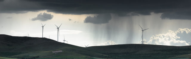 horses with storm in background 