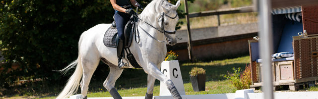 Mein Pferd Magazin - Maike Mende Homestory mit Maike Mende am 13.07.2018 in Altenberge für das Mein Pferd Magazin. Foto: DANIEL ELKE 