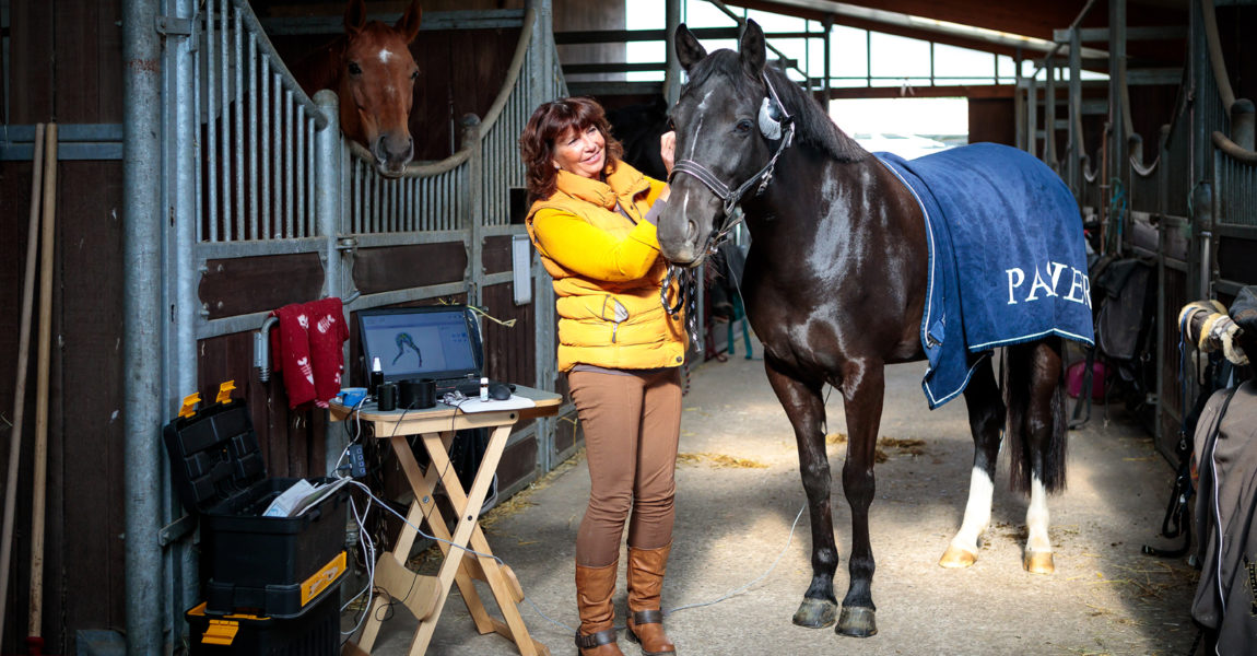 Mein Pferd Magazin Reportage für das Mein Pferd Magazin. Foto: DANIEL ELKE 