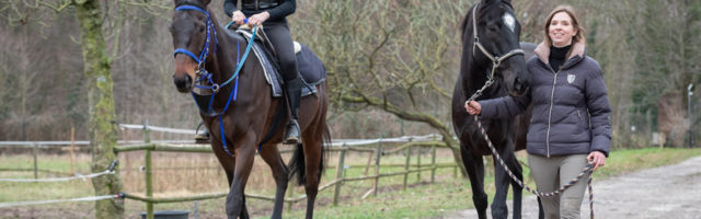 Rennpferdehof Mein Pferd Magazin Reportage auf einem Hof für Rennpferde in Weeze Foto: DANIEL ELKE 