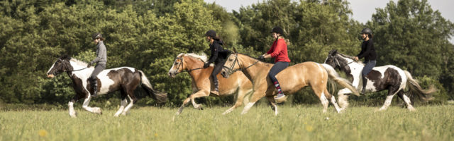 Sattelloses Reiten Sattelloses Reiten in Bad Lear für das Mein Pferd Magazin am 06.06.2017 . Foto: DANIEL ELKE 