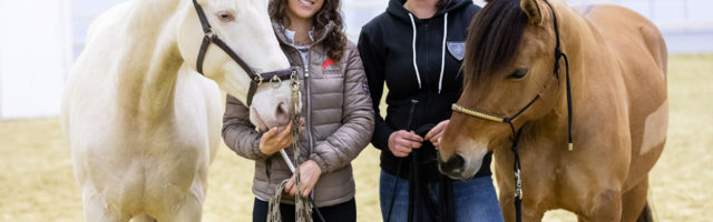 Mein Pferd - Seminar Equitana Equitana Seminar mit Kenzie Dysli am 14.03.2019 in der Messe Essen. Foto: DANIEL ELKE 