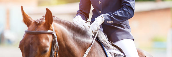 Young happy woman on her horse after dressage test Young happy woman on her bay horse after dressage test on equestrian competitions 