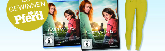 gewinne_ostwind 