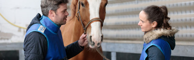 Mein Pferd Shooting für das Mein Pferd Magazin am 12.04.2019 in Gevelsberg Foto: DANIEL ELKE 