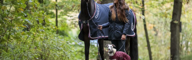 Mein Pferd Shooting für das Mein Pferd Magazin am 17.10.2019 in Gevelsberg Foto: DANIEL ELKE 