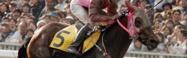 Racehorse Haruurara KOCHI, JAPAN - MARCH 22: Jockey Yutaka Take riding Haruurara competes in the race at the Kochi Racecourse on March 22, 2004 in Kochi, Japan. (Photo by The Asahi Shimbun via Getty Images) 